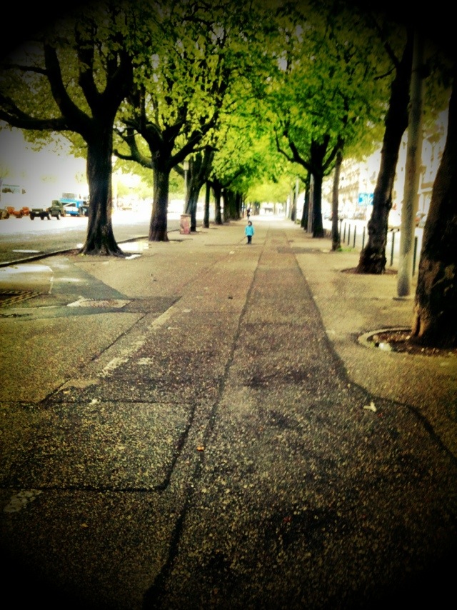 20120417-231459.jpg